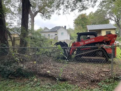 Company cut down a tree on my property line without my permission, without a permit, and would not stop when they were