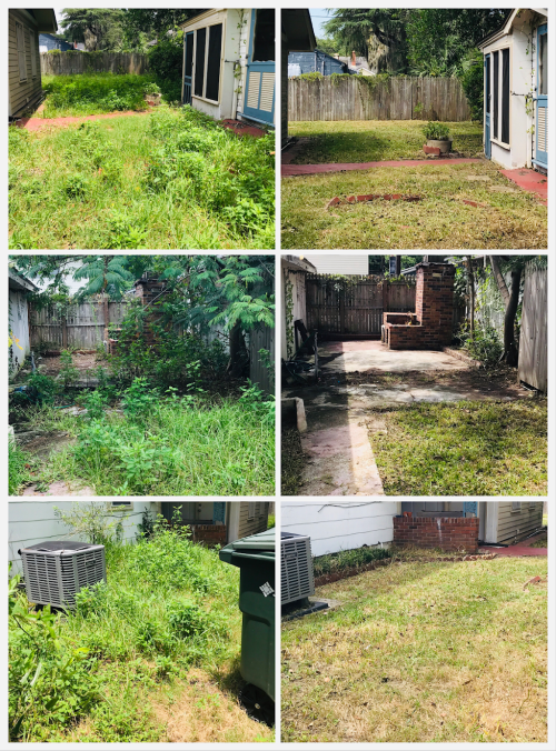  alt='I had SUCH a hard time finding a lawn care company to work with me - after about 6 or 7 companies refusing to work with me,'