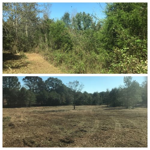  alt='We own 30 acres outside of rome ga and we have used several other companies over the years mulching and clearing different'