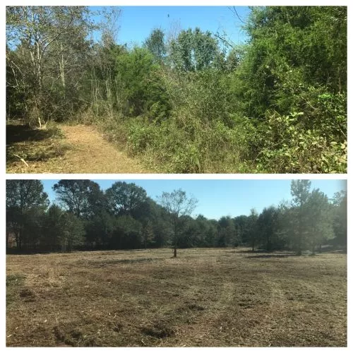 We are a HOA in North Atlanta. We needed several plots cleared for new home sites These guys came in and got the job done