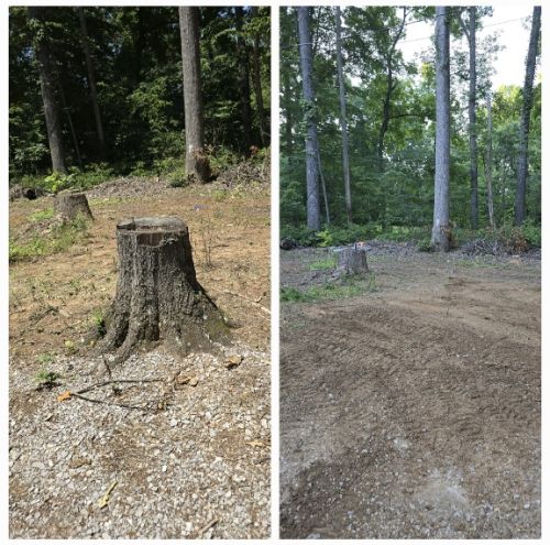  alt='Highly recommend this company! John was able to come out and remove multiple stumps for me'