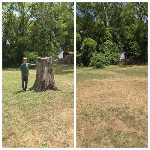 Highly recommend this company! John was able to come out and remove multiple stumps for me