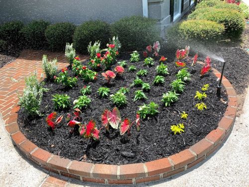  alt='Kareem and his team of Best Landscape & Maintenance LLC, did a fantastic job on my property'