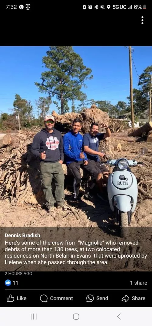 GREAT SERVICE, they removed 4 downed trees, fell two oak trees, moved all debris to road and installed approximately 275