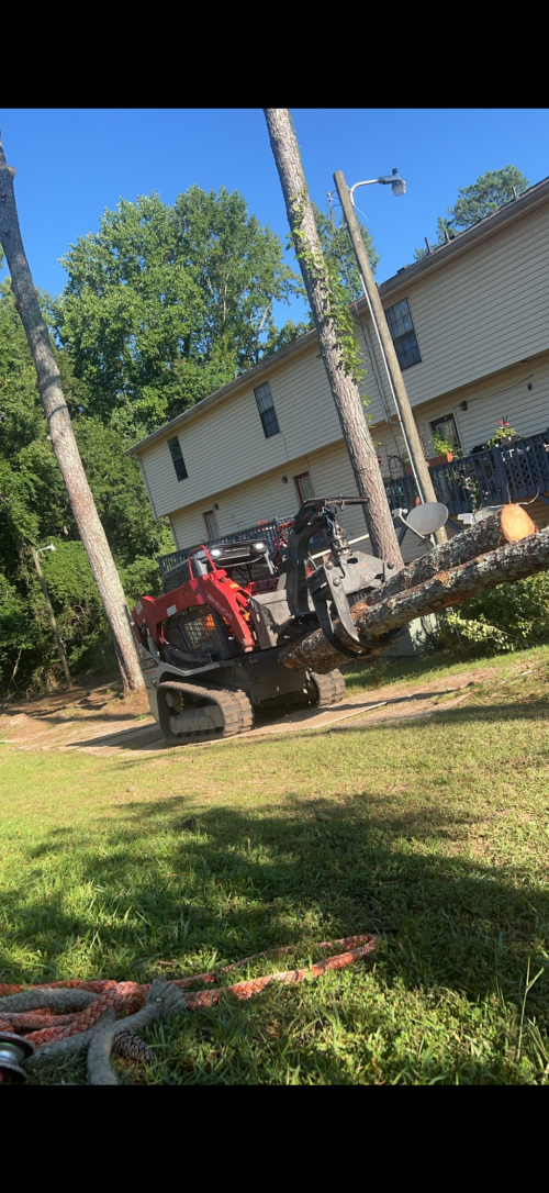  alt='Bryan and his crew did a great professional job cutting down all the trees and trimming up others I had on my property'