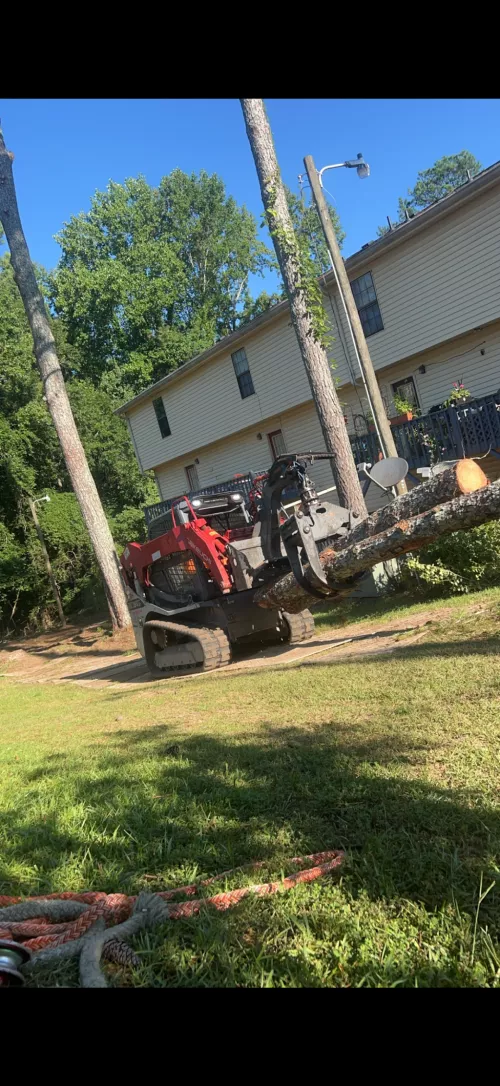 Cortes Tree Service has been our go-to for several years now. They are always professional, get to us as quick as possible,