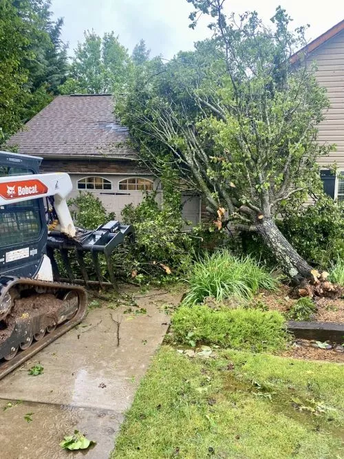 Johnny Sheffield of Big South Land & Tree provided services on my property in Evans, GA on Oct. 30, 2024