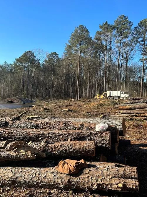 They removed 13 trees for me and grinned several stumps. The entire team was very professional and went above and beyond to