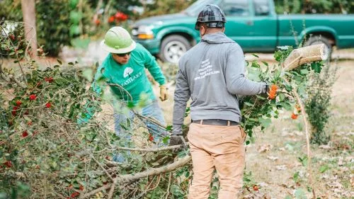 Outstanding service and professional crew. Eastlake tree service helped us with emergency storm damage when we had a tree