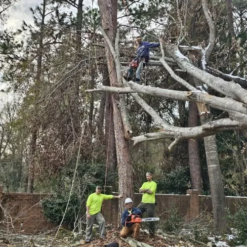 Manning Tree Service is an exceptional company that truly goes above and beyond in every aspect of tree care