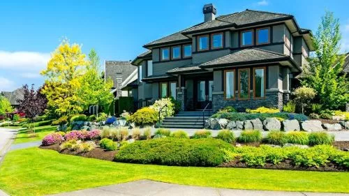 Great service and knowledgeable. Turned my lawn around in 3 months