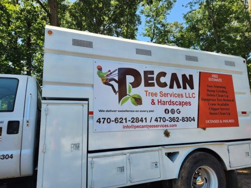  alt='Pecan Tree Services is a company you can trust with your difficult tree removal needs'