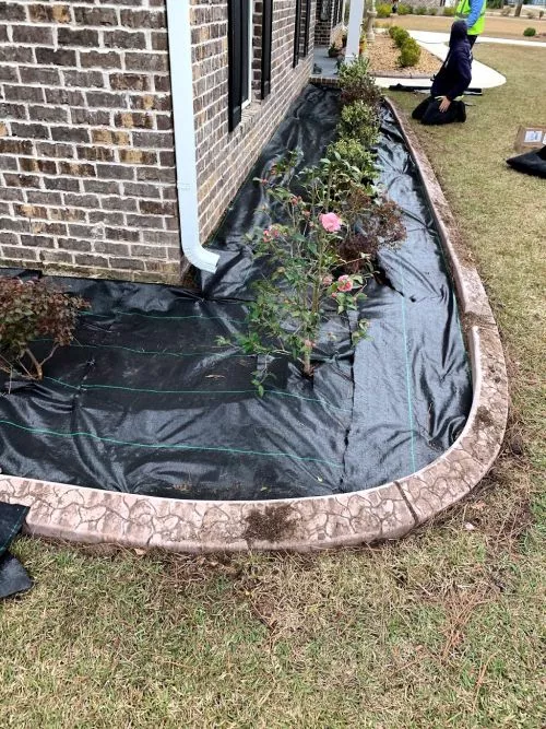 I called Dedicated Lawn Care at 8:30 in the morning and he had a crew out to my house the same day