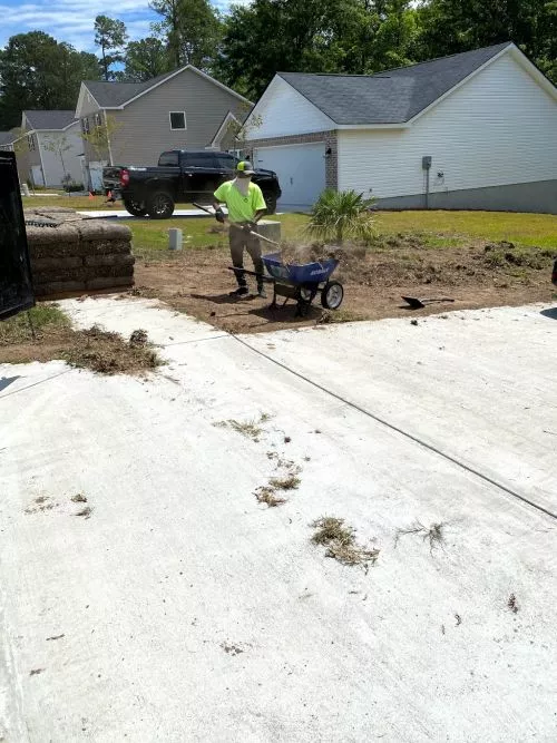 My yard was a mess. It was definitely neglected and needed some serious work