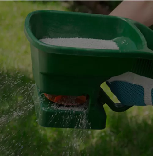 My Lawn mower broke down and is expected to be in he shop several weeks, after recent rain cooler weather the lawn and