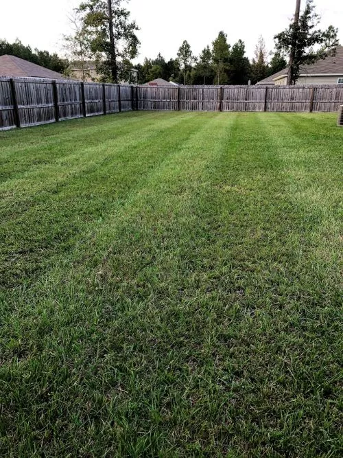 Brandon and his team did an amazing job with my yard! I recently bought a house and the yard had been neglected for years
