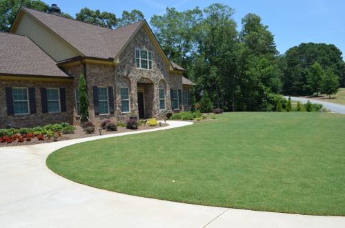  alt='I have had a great experience with Bloomhouse Landscape and Irrigation so far. I