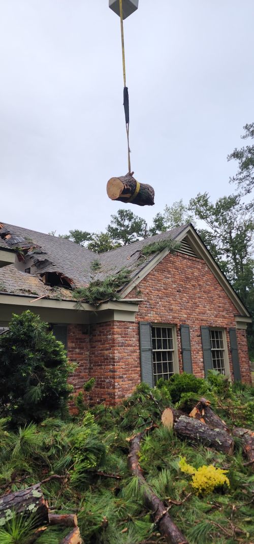  alt='Brian and Josh did a fantastic job taking down 2 trees that were in tricky positions too close to our shop and fence'