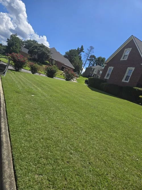 I recently had my front yard redone by Scapegoat Landscaping, and I couldn’t be happier with the results