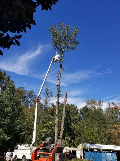  alt='PMA is a great place that embraces their community as well as people who serve that community'