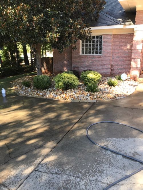  alt='Very good selection, plants are all cared for and in good health'