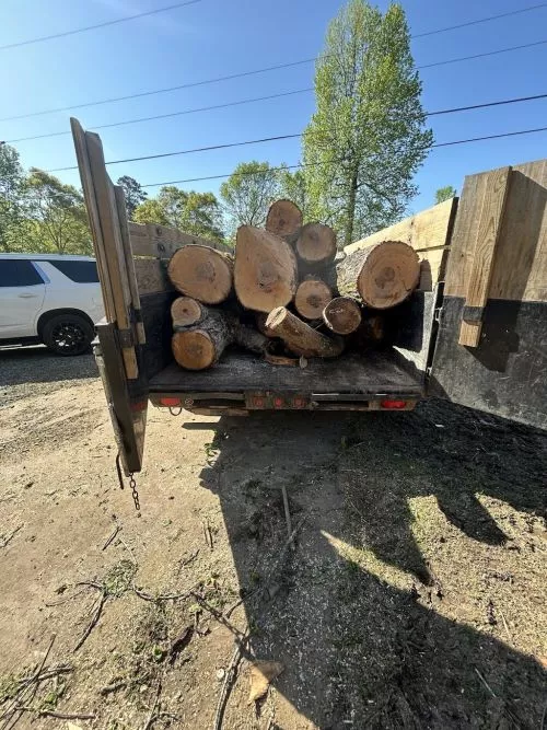 Amazing job and equally great communication. I had a large junk removal job and it was done expertly and in a half a day