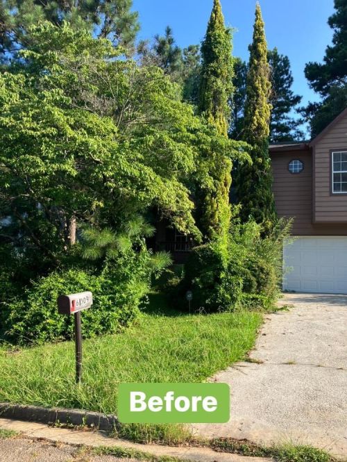  alt='Ernesto and his team did a great job on my yard. Twice I had them come and remove trees. Very perfessional'