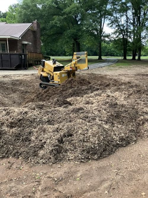 alt='Bob arrived as scheduled and did a great job on a huge stump! It was in my front yard so it was important to me for the'