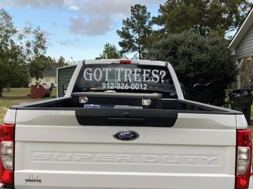 The job these tree servicemen have done for me are beyond a good job