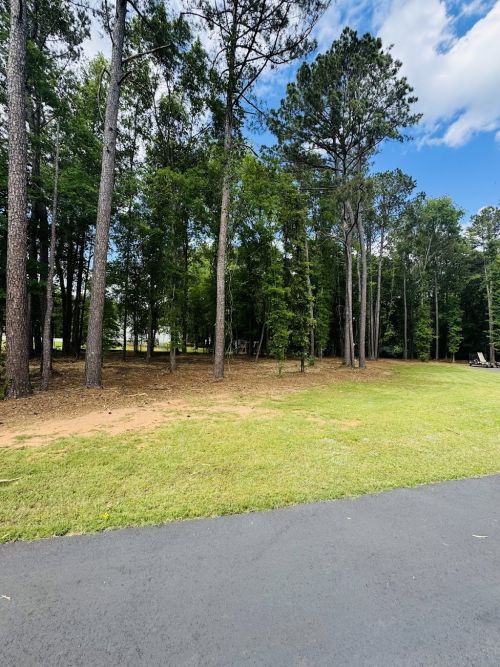  alt='Apex Forestry transformed our property! We had trees and vines removed in the front of our property'