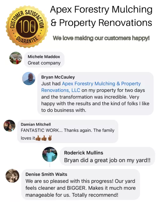 I’d highly recommend! Brian is very knowledgeable, fairly priced, and worked a miracle on my property
