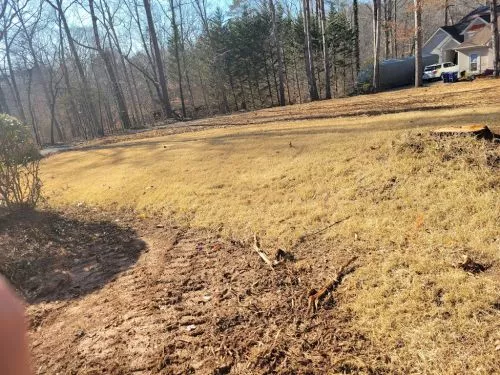 I recently bought a house that had a heavily overgrown backyard as well as an inground pool that has been abandoned years