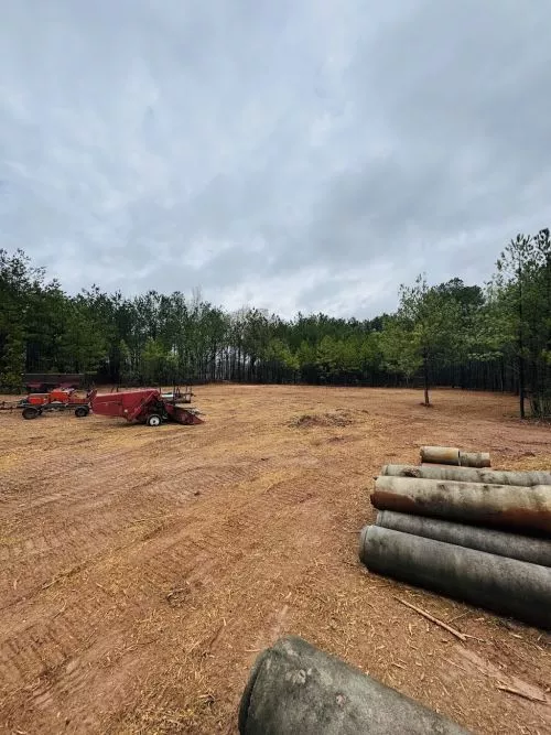 Apex Forestry transformed our property! We had trees and vines removed in the front of our property
