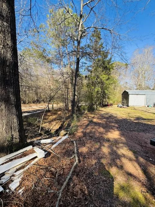 I recently hired Apex for a land clearing project, and I couldn"t be more impressed with their service