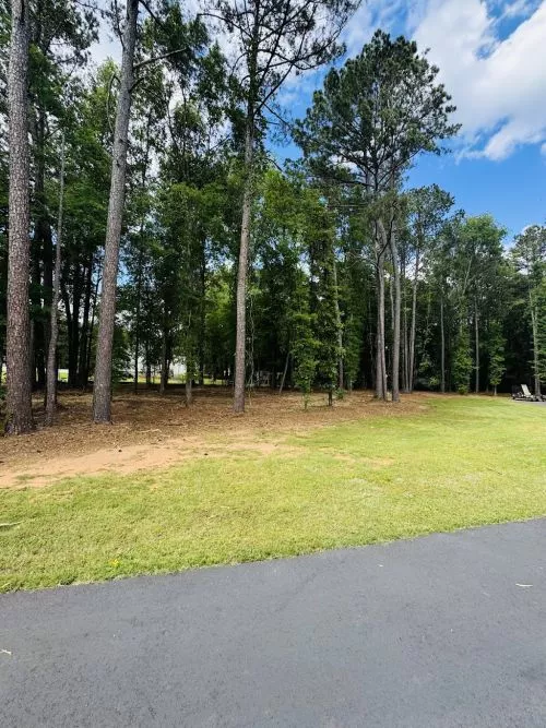 I recently had some of my land forestry mulched by another company, and let"s just say they did not do a very good job