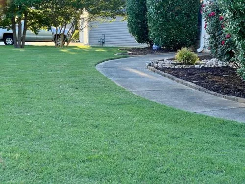 I"m incredibly happy with all of the work Yard-Trim has done for me