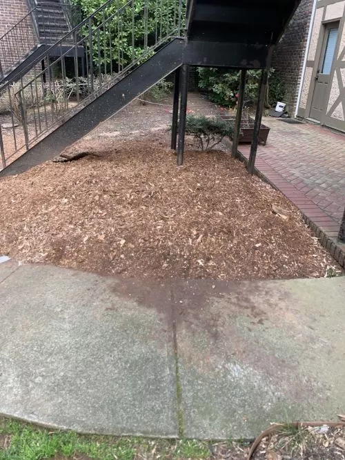 Highly refer GMD Stump Grinding. Jose Reyes did a wonderful job, showed up when he said he would, responsive, professional
