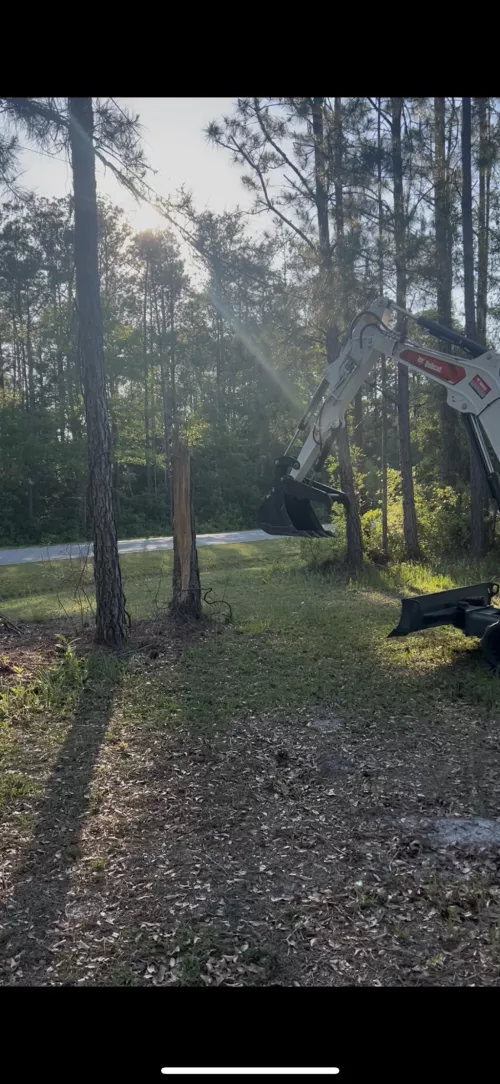 They did an amazing job removing some trees from our front yard that were sick with fire blight