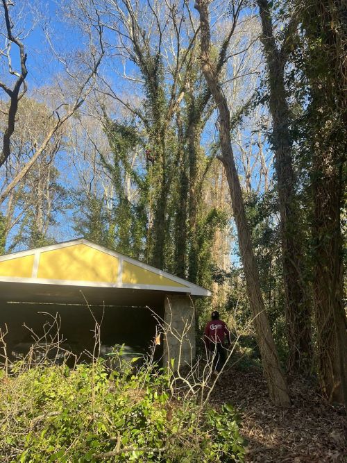  alt='This is an amazing company. Top notch 1st class professional Company for sure!!'