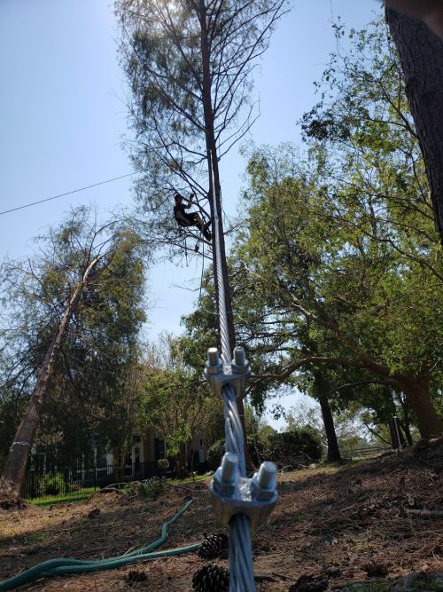  alt='I highly recommend Lombardos Tree Svc. Called them Thursday morning after a huge tree fell on our house'