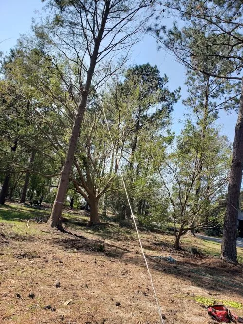 I highly recommend Lombardos Tree Svc. Called them Thursday morning after a huge tree fell on our house