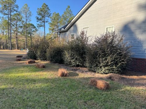  alt='I never have to worry about my lawn maintenance because Luis takes care of it'