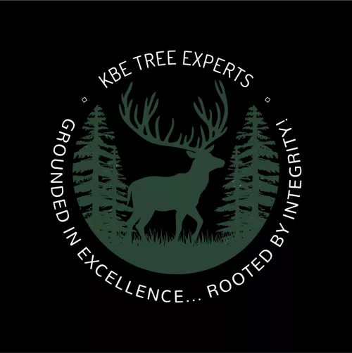 Mr. Joshua Owensby with KBE Tree Experts did an excellent job cutting down our trees and hauling the pieces of trees and