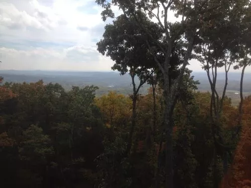 I have worked with Zach and Lindsay on many occasions for tree removal and cleanup