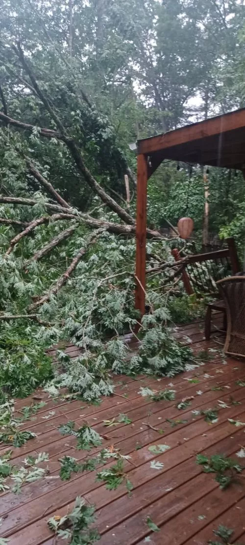 I first hired Zach’s Grading and Tree Removal 6 years ago and I have used him probably 4 times since then to remove trees,