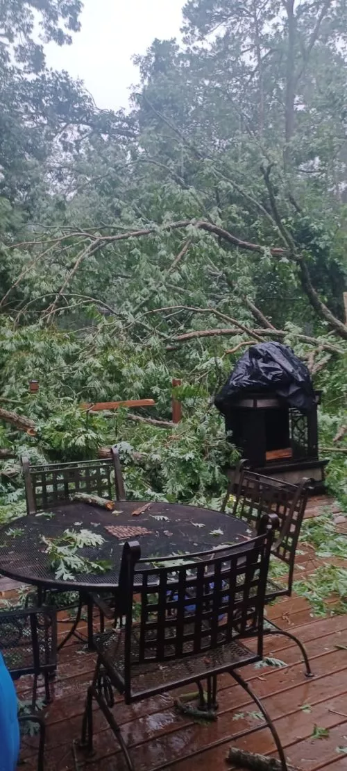 I’ve used Zach’s a few times for tree assessment, routine maintenance and storm damage