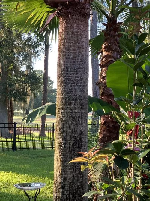 Daris and his Team 1 crew are the best! I’m very impressed with their hard work and attention to detail in making my yard