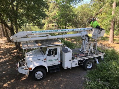  alt='Logan and his team are top-notch. I recently moved to the area. Within weeks of arriving, one of my trees broke at the top'