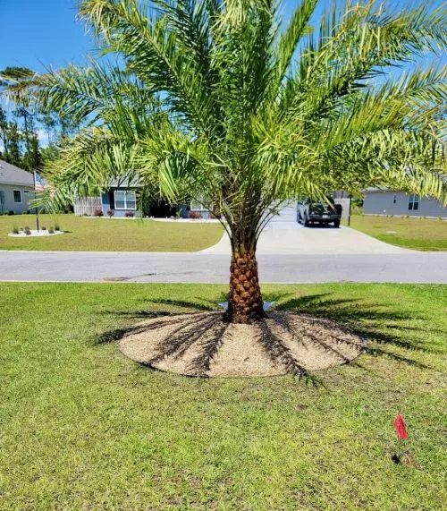 If you want the best hire Ronnie Cochran and Ground Effects landscaping