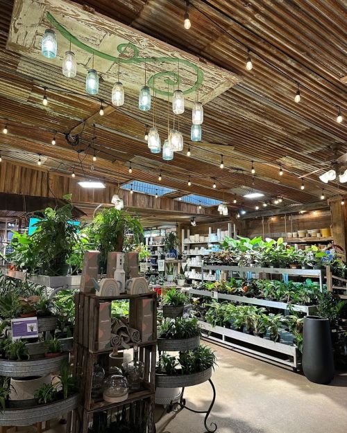  alt='This place Knows plants…. This is a unique plant nursery… located off an exit 333 in Dalton Ga'